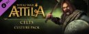 Купить Total War: ATTILA - набор Культура кельтов. (дополнение)