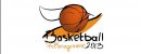Купить Basketball Pro Management 2013