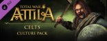Купить Total War: ATTILA - набор Культура кельтов. Дополнение Купить Total War: ATTILA - набор Культура кельтов. Дополнение
