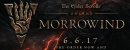 Купить The Elder Scrolls Online - Morrowind