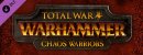 Total War: WARHAMMER - Chaos Warriors Race Pack. Дополнение Total War: WARHAMMER - Chaos Warriors Race Pack. Дополнение