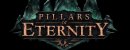 Pillars of Eternity. Hero Edition Pillars of Eternity. Hero Edition