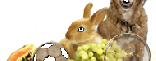 Купить Помощники для зверюшек Купить Помощники для зверюшек
