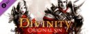 Divinity: Original Sin - Source Hunter. Дополнение Divinity: Original Sin - Source Hunter. Дополнение
