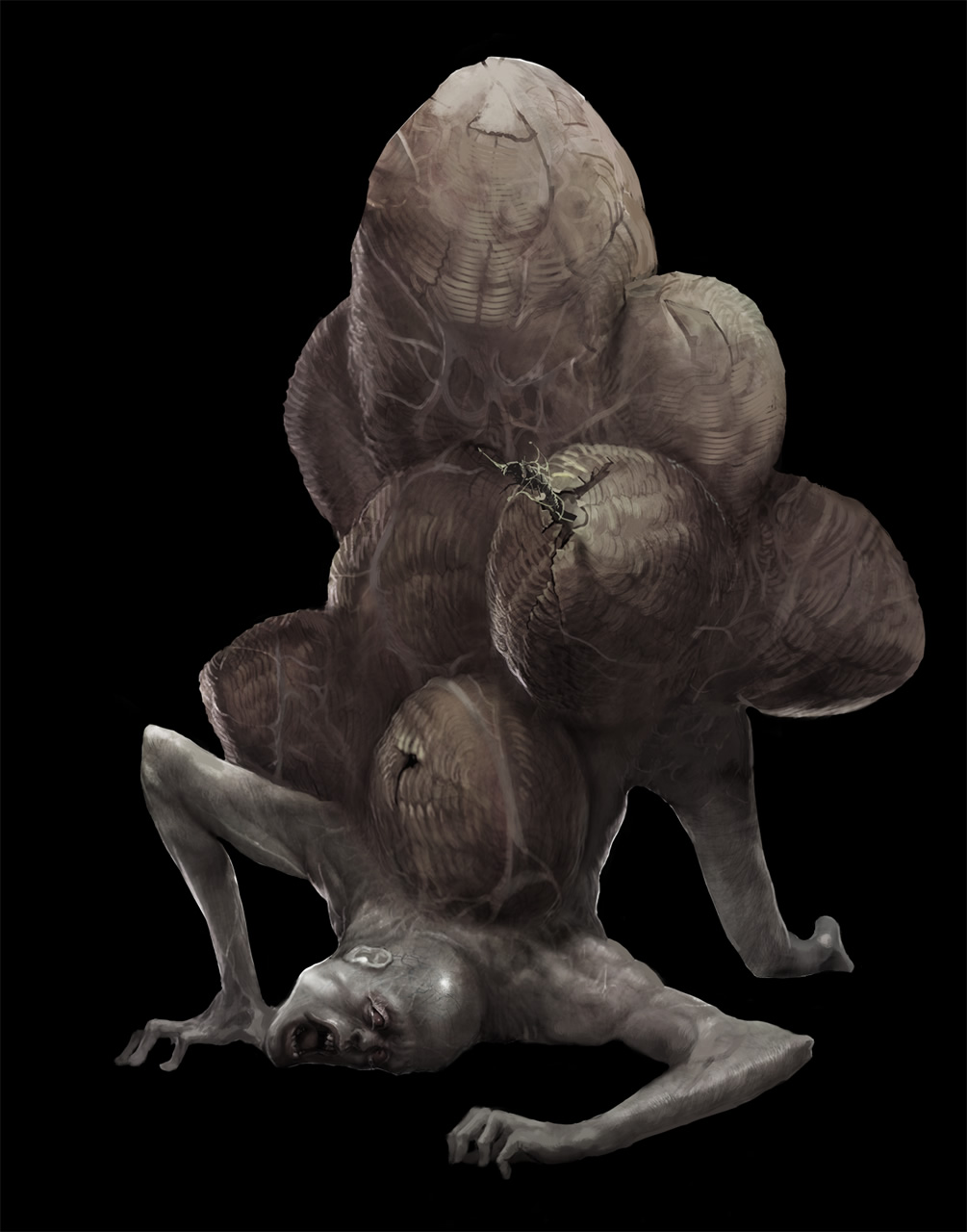 1 1