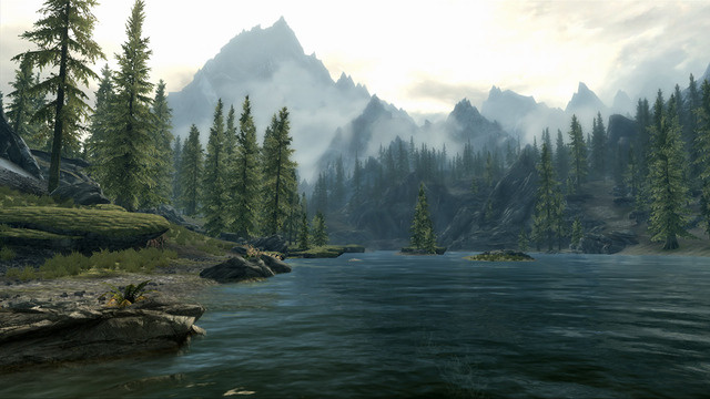1 1